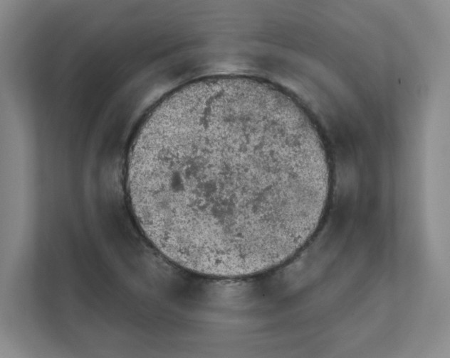 X0000111421314200908031257