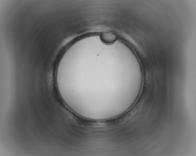 X0000111421315200908031257