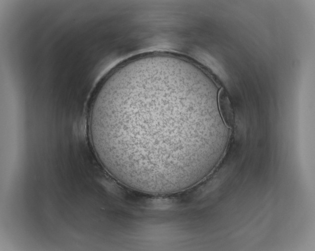 X0000111421316200908031257