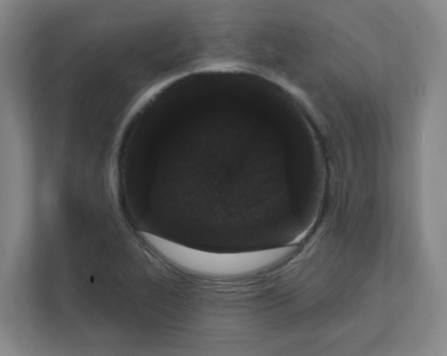 X0000111421319200908031257