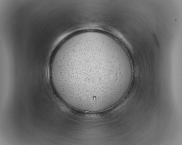 X0000111421320200908031257