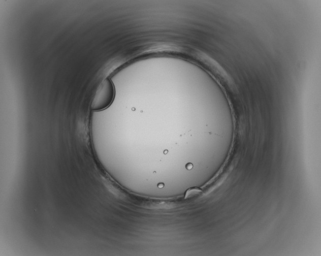 X0000111421321200908031257