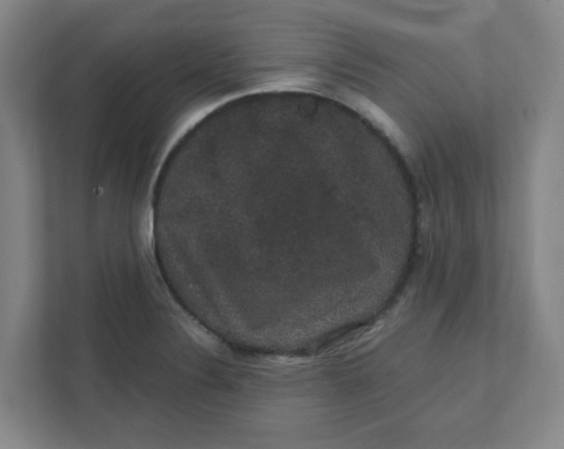 X0000111421324200908031257