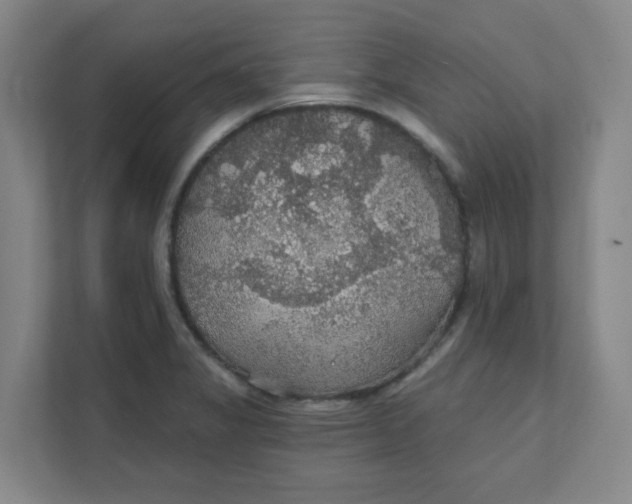 X0000111421325200908031257