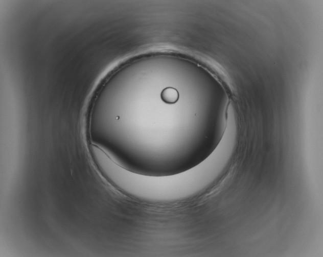 X0000111421326200908031257