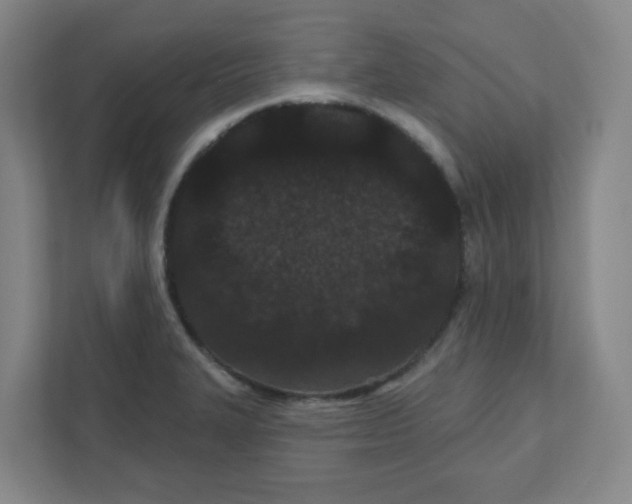 X0000111421327200908031257