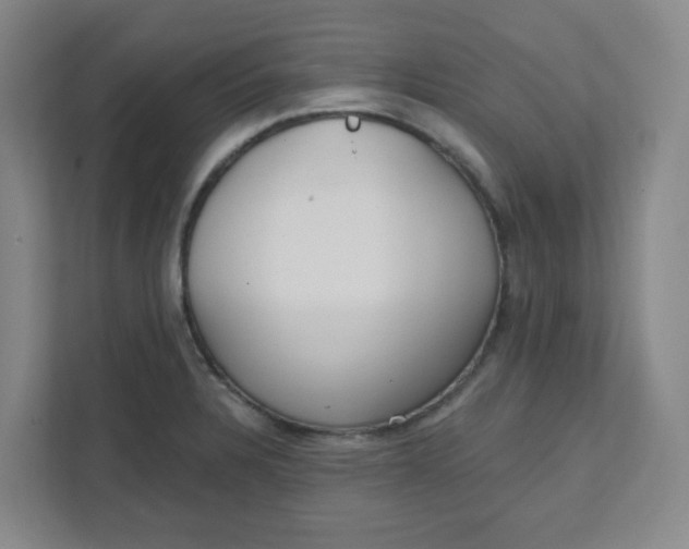 X0000111421328200908031257