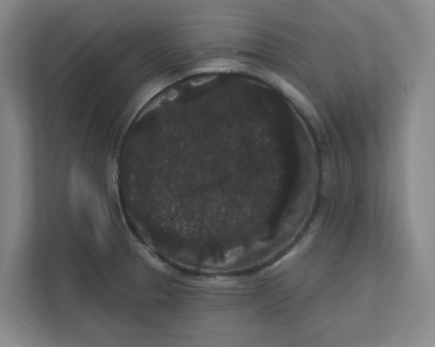 X0000111421329200908031257