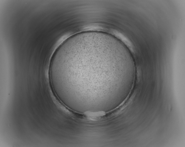 X0000111421330200908031257