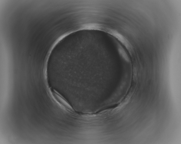 X0000111421331200908031257