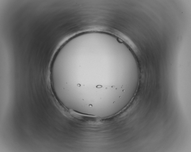 X0000111421332200908031257