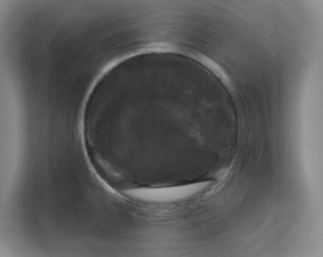 X0000111421334200908031257