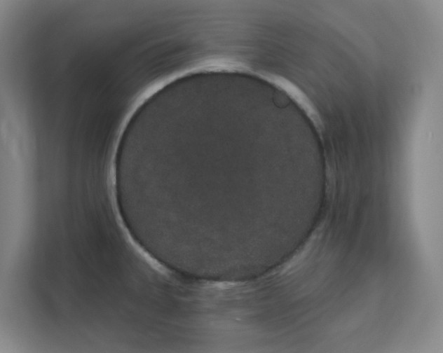 X0000111421335200908031257