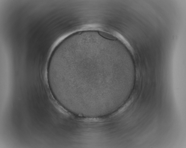 X0000111421336200908031257