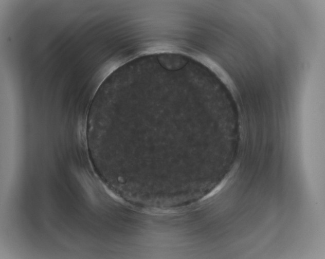 X0000111421337200908031257