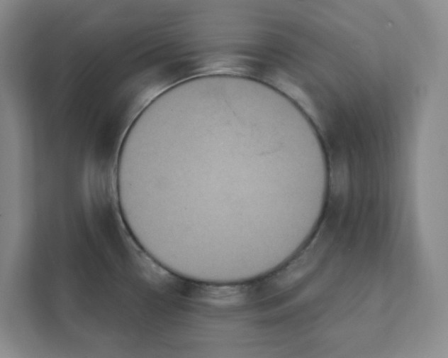 X0000111421338200908031257