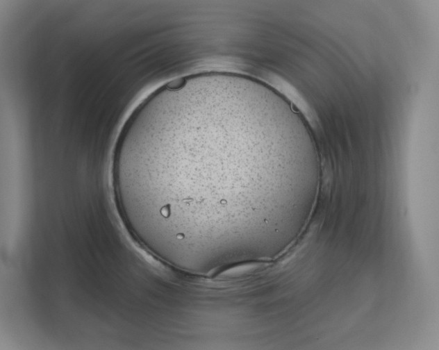 X0000111421339200908031257