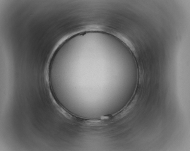 X0000111421342200908031257