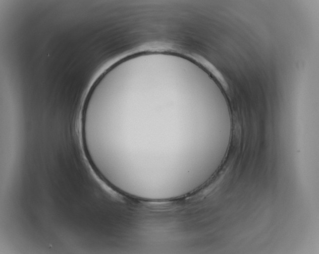 X0000111421343200908031257