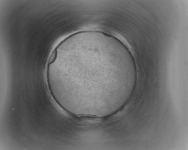 X0000111421344200908031257