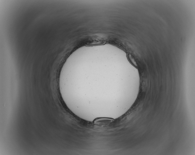 X0000111421345200908031257