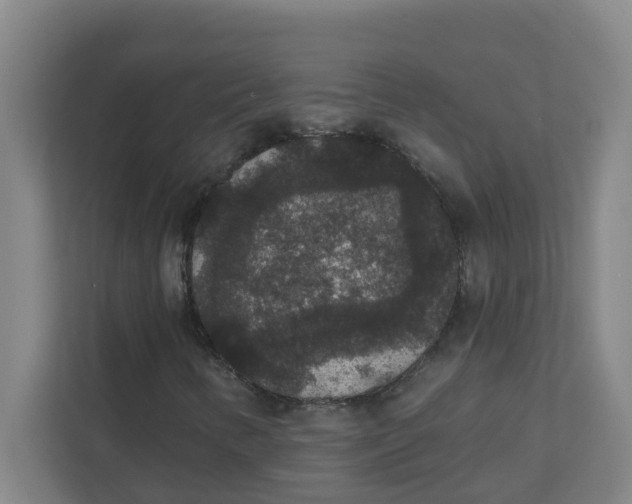 X0000111421346200908031257