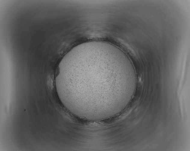 X0000111421348200908031256