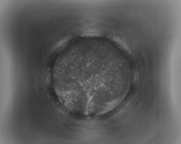 X0000111421350200908031256