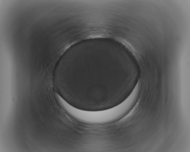 X0000111421353200908031256