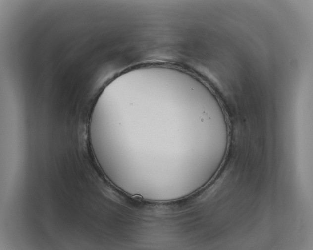 X0000111421355200908031256