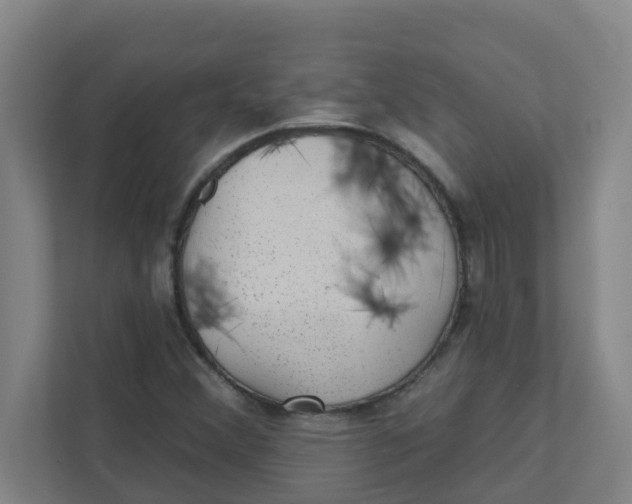 X0000111421356200908031256