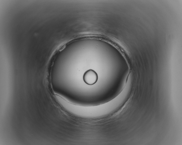 X0000111421357200908031256