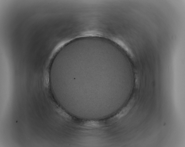 X0000111421358200908031256