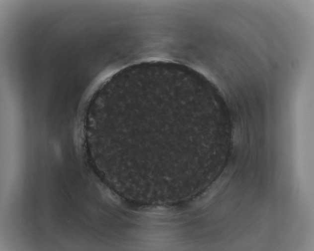 X0000111421359200908031256