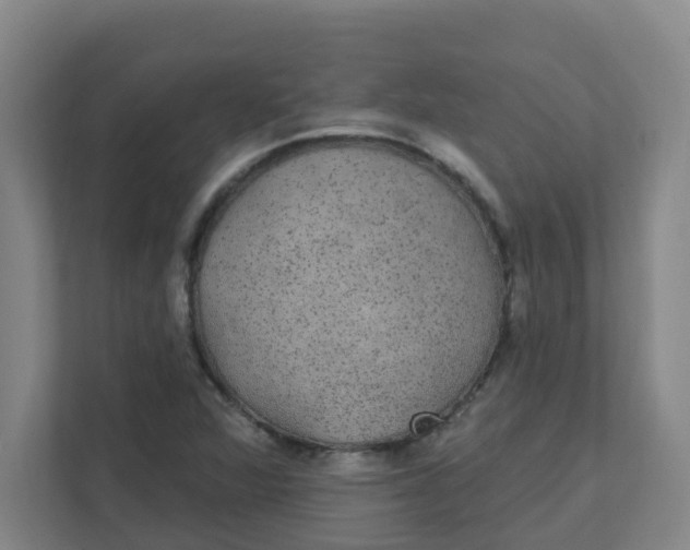 X0000111421360200908031256