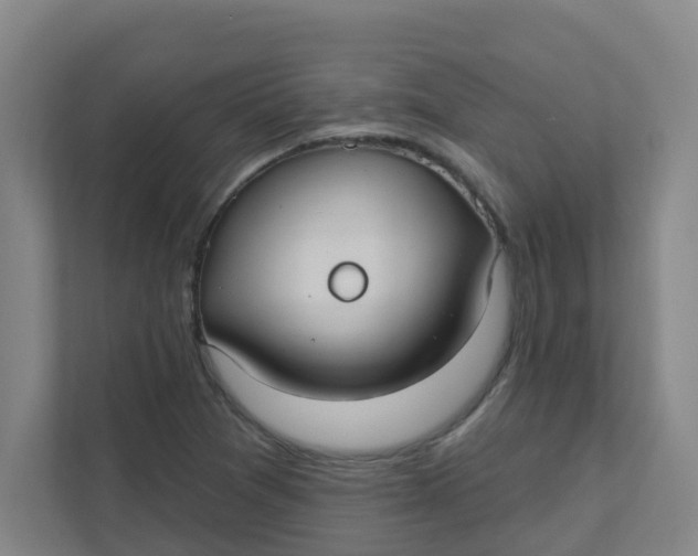 X0000111421361200908031256