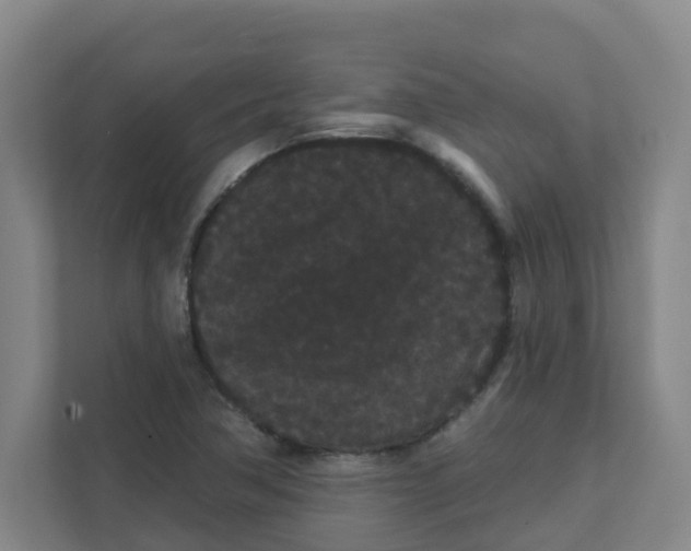 X0000111421362200908031256