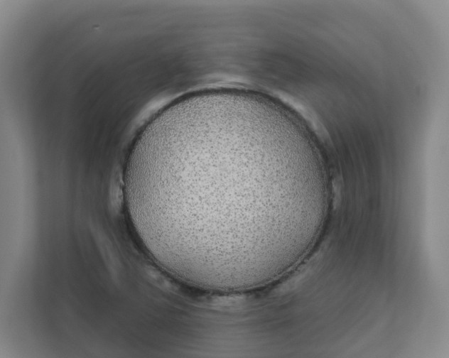 X0000111421363200908031256