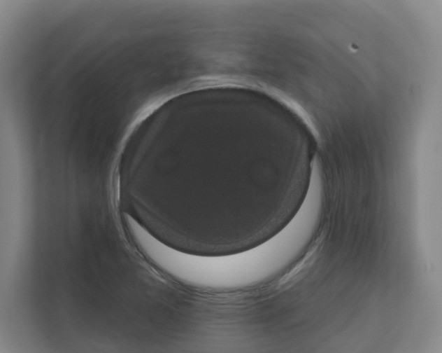 X0000111421365200908031256