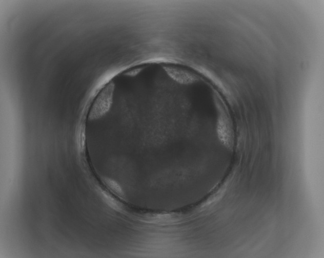 X0000111421367200908031256