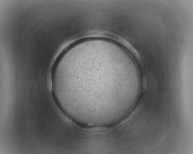 X0000111421368200908031256