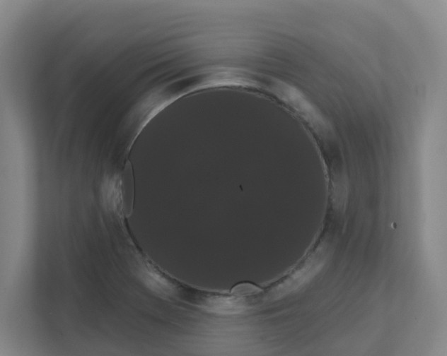 X0000111421369200908031256