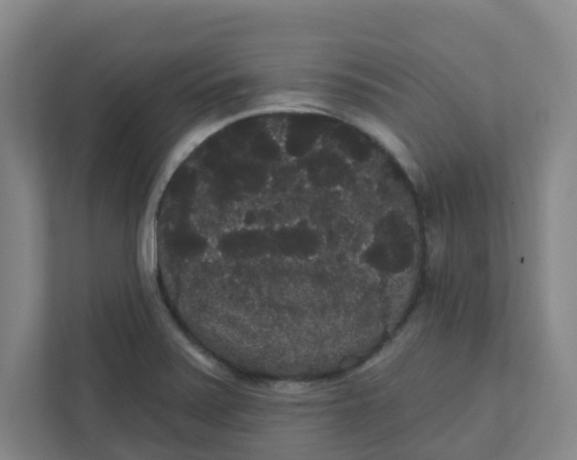 X0000111421371200908031256