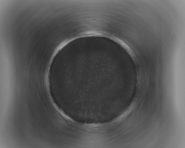 X0000111421373200908031256