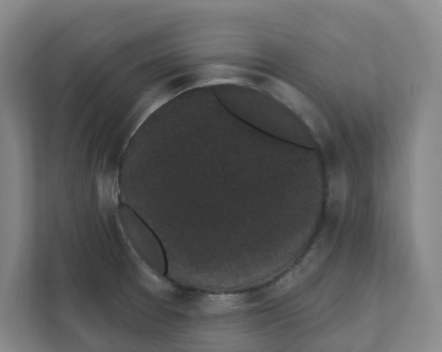 X0000111421377200908031256