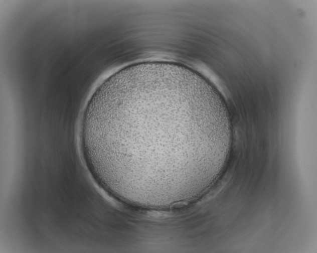 X0000111421379200908031256