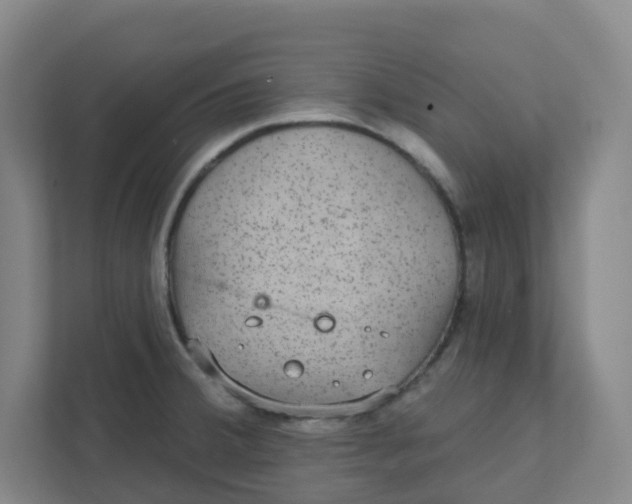 X0000111421380200908031256