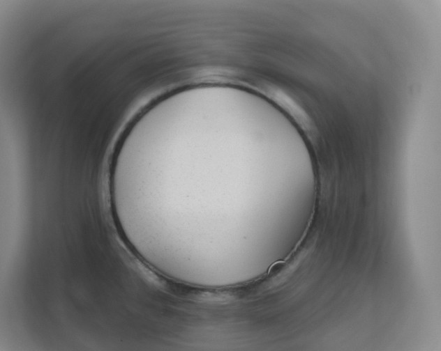 X0000111421384200908031256