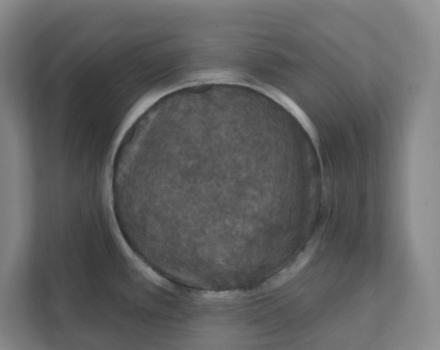 X0000111421389200908031256