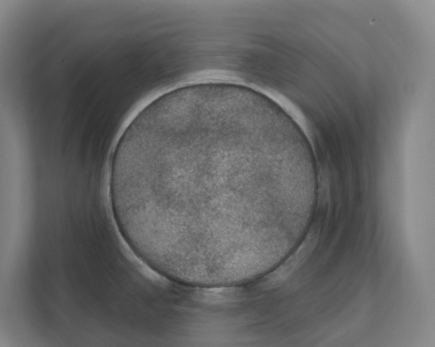 X0000111421390200908031256